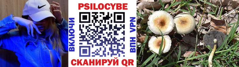 Галлюциногенные грибы Cubensis  продажа наркотиков  Кирово-Чепецк 
